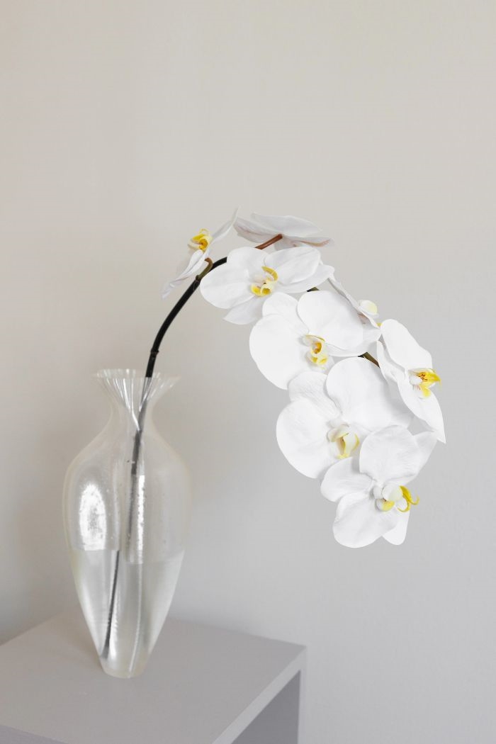 Artificial Orchid | Orkidé, White